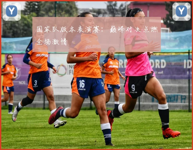 国家队版本表演赛：巅峰对决点燃全场激情